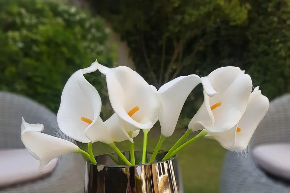 Mise en décor — photo 8