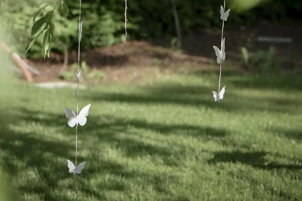 Dragée D'amour — photo 4