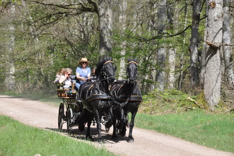 Voitures d'Antan — photo 4