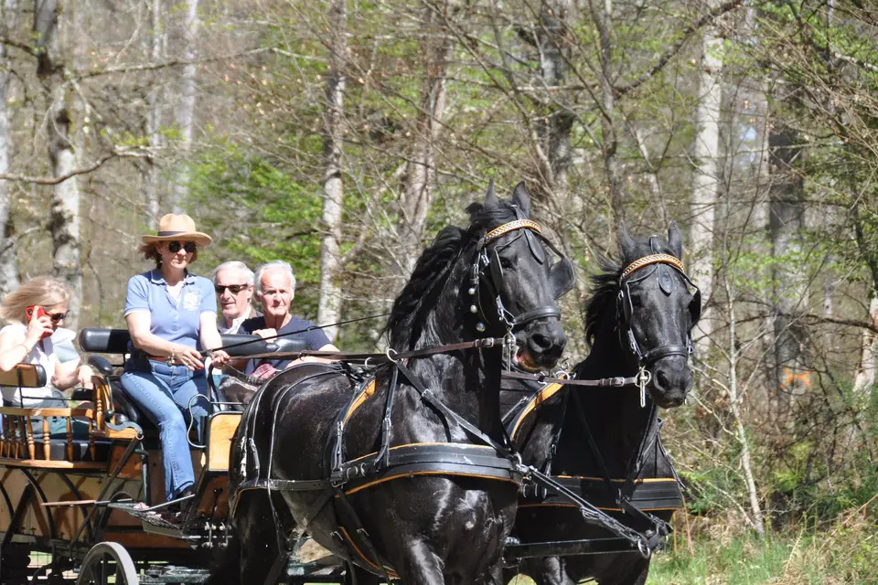 Voitures d'Antan — photo 5