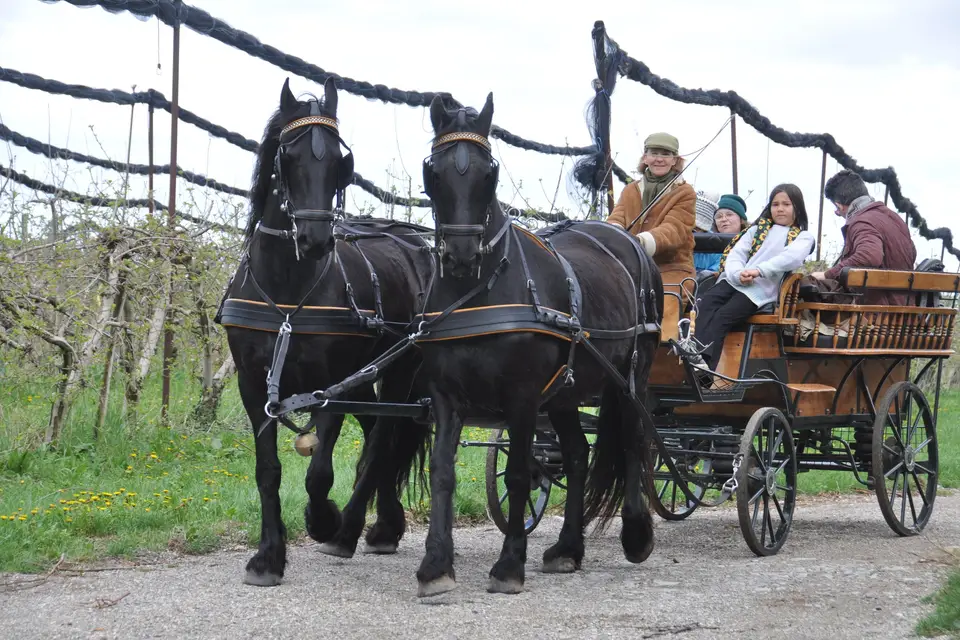 Voitures d'Antan — photo 7