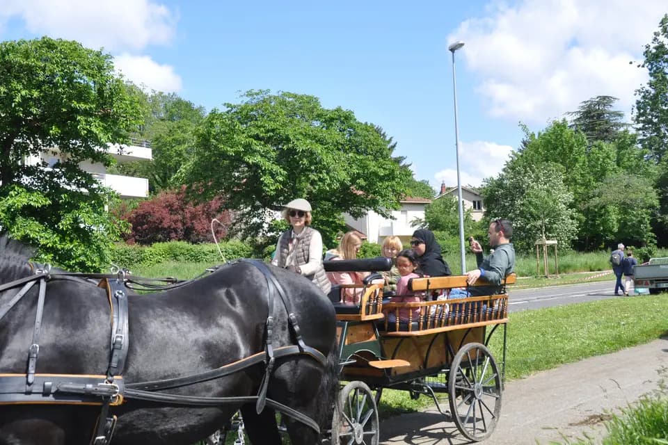 Voitures d'Antan — photo 1