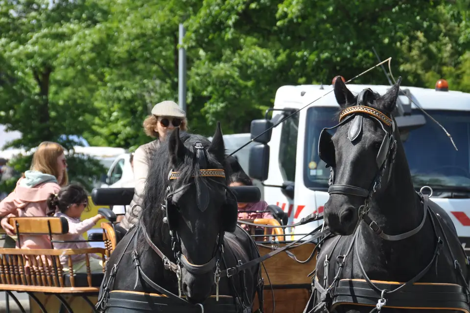 Voitures d'Antan — photo 2