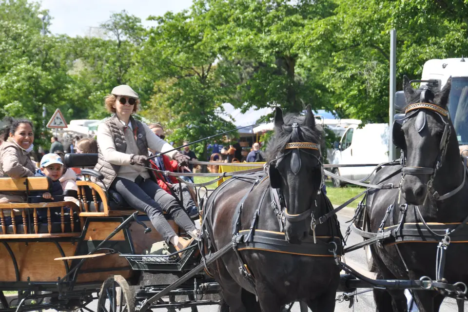 Voitures d'Antan — photo 3