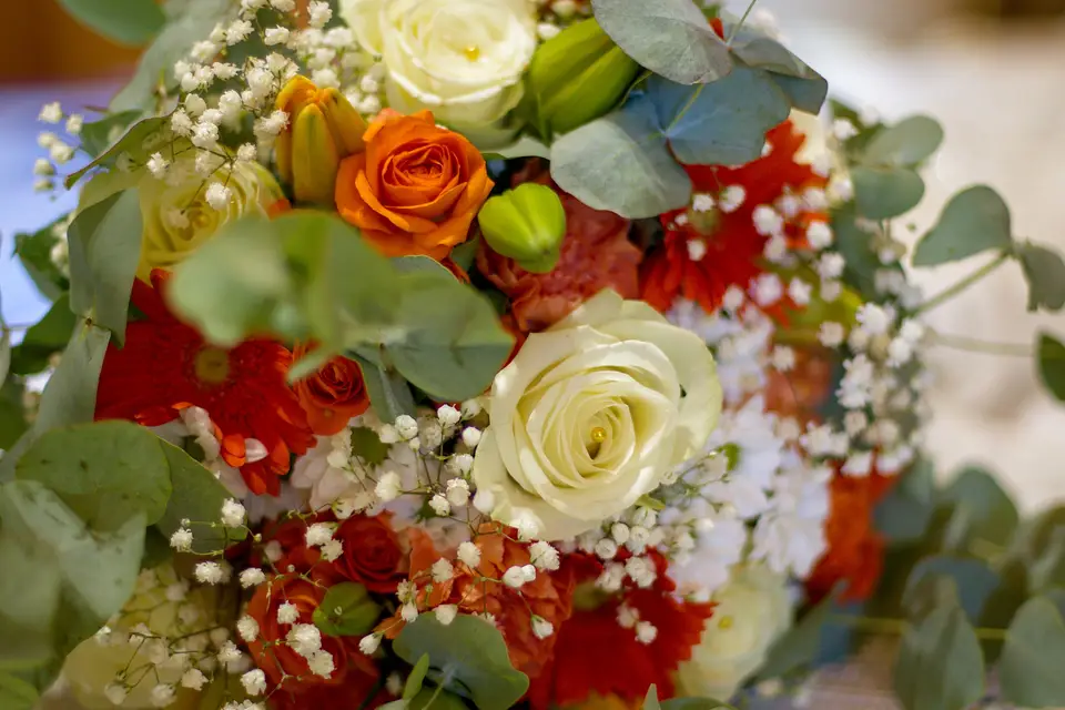 Pignolet — photo 4