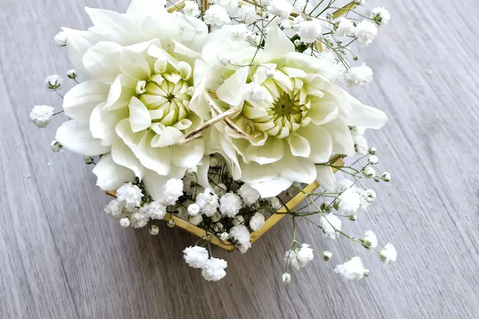 SDes'Events — photo 4