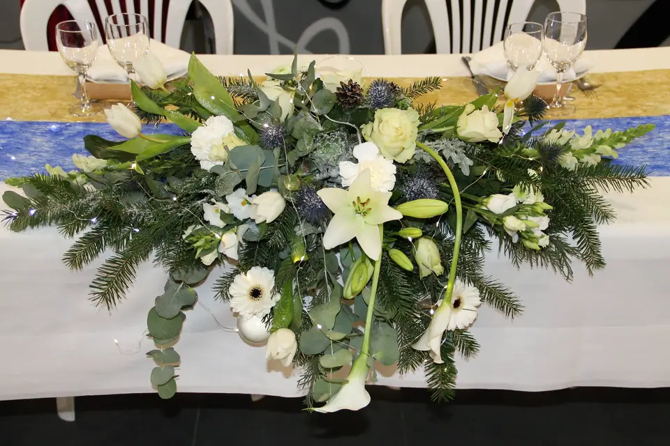 Matton Événements — photo 1