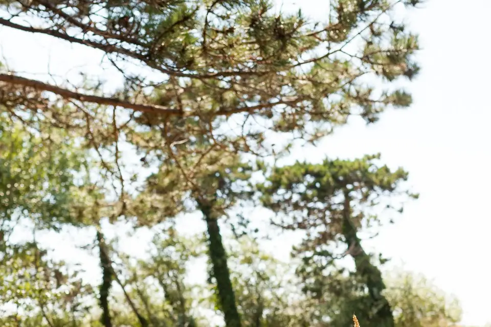 Gilbert Victor — photo 7