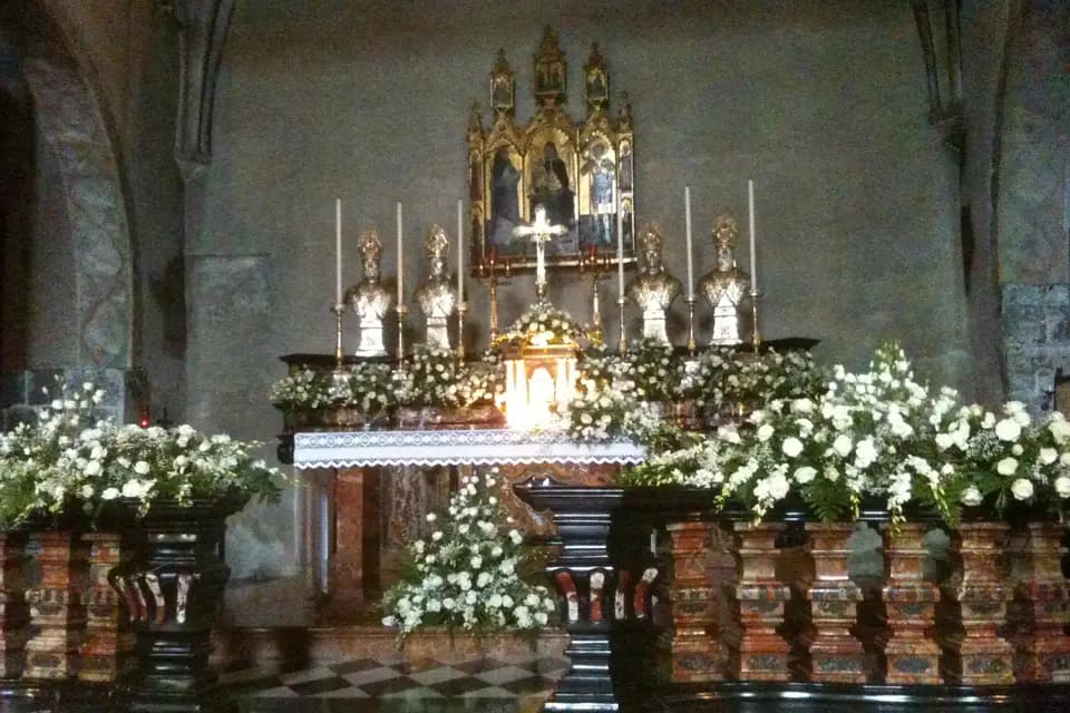 Petite Fleur du Vexin — photo 7