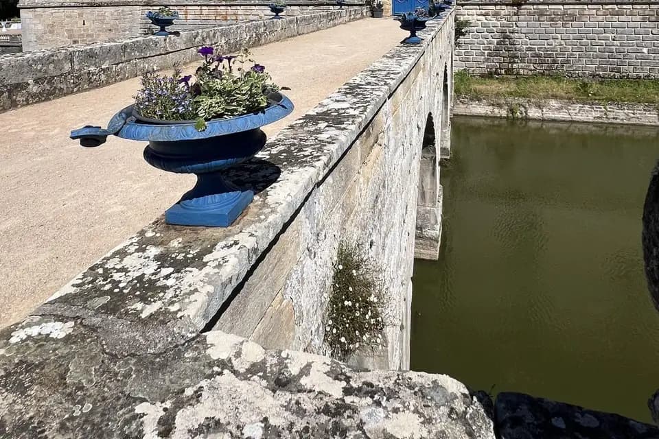 Dietre Event — photo 3