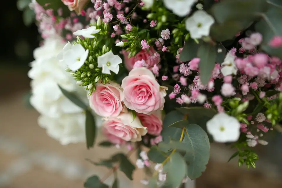 Kris Photographe — photo 2