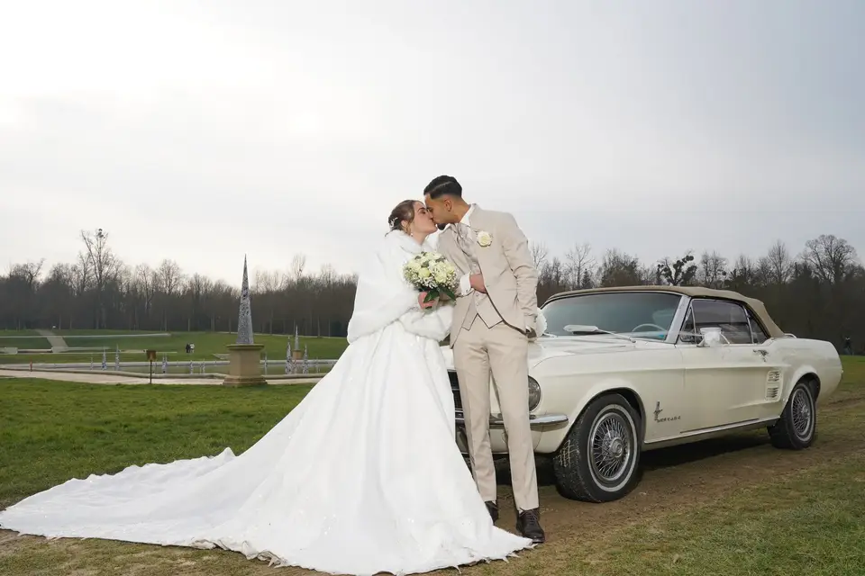 Cameraman Tarek — photo 8