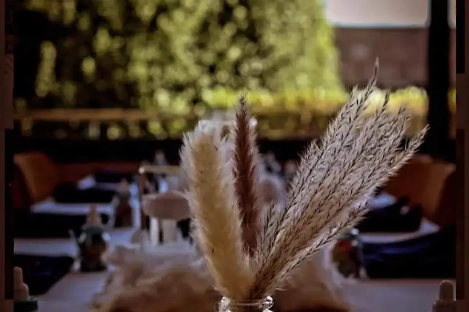 Luna Wedding Planner — photo 7