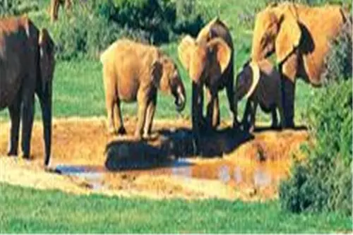 Tonic Tourisme — photo 1