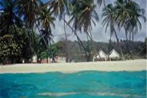 Tonic Tourisme — photo 6