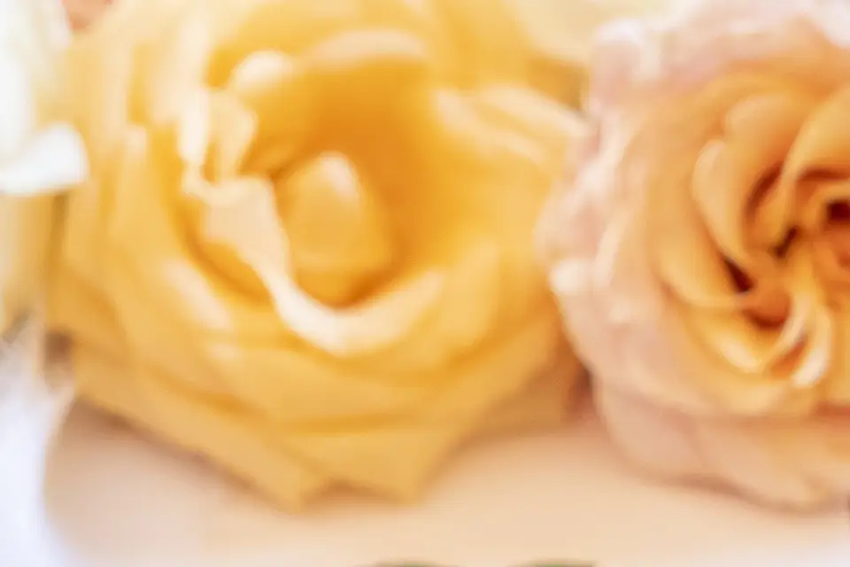 Rebecca Poupard — photo 1