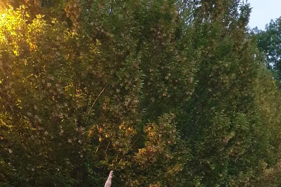 Ophélia Events — photo 5