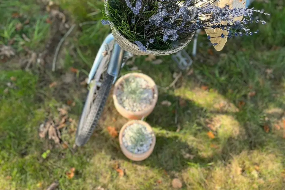 Just'In Design — photo 6