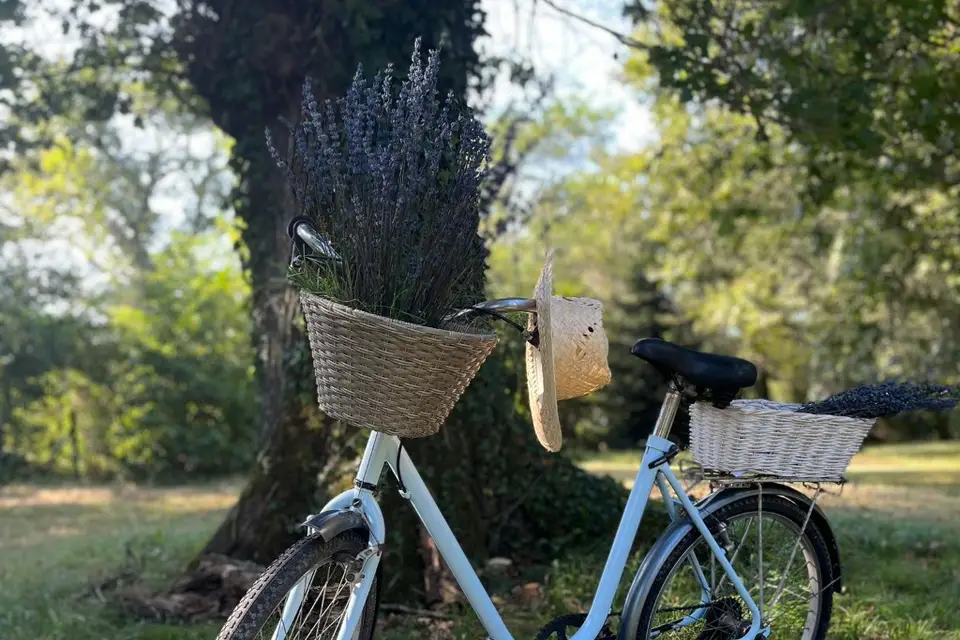 Just'In Design — photo 5