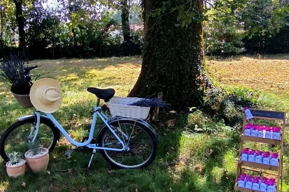 Just'In Design — photo 4