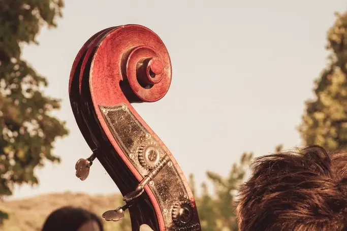 Quintet de pioche — photo 4