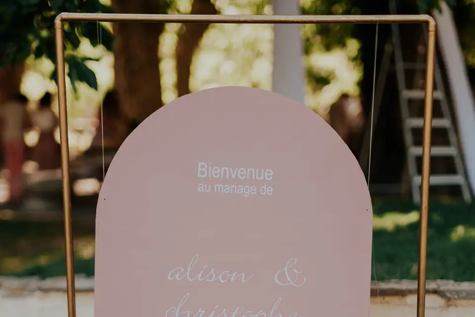 Camille & the cool weddings — photo 5