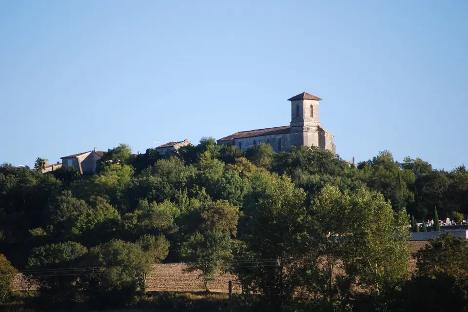 Domaine du Hiron — photo 3