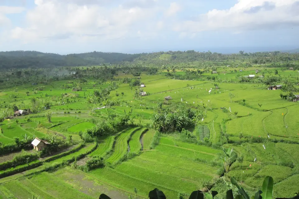 Origami Voyages — photo 2