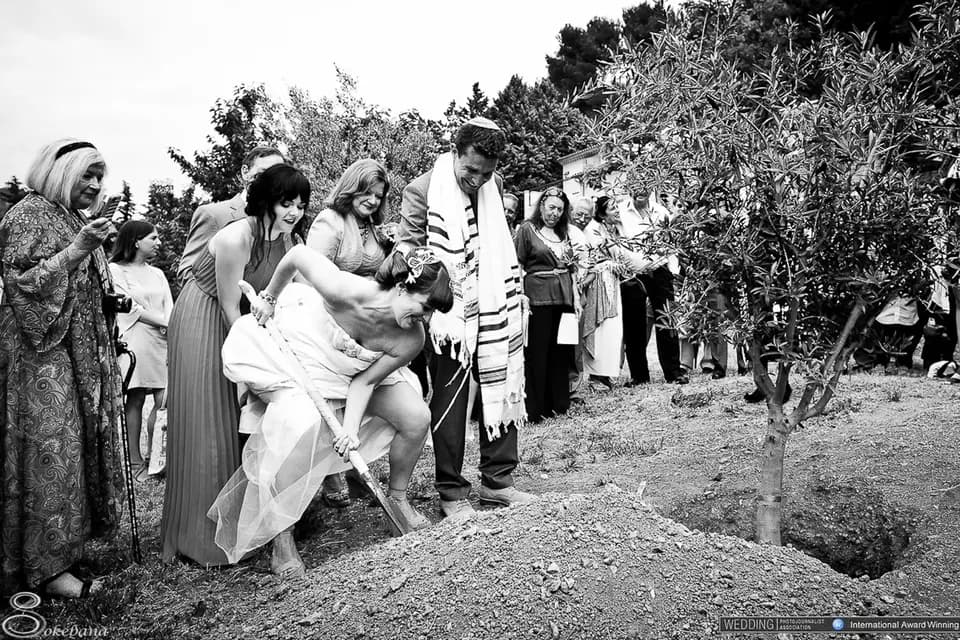 Sokebana — photo 1