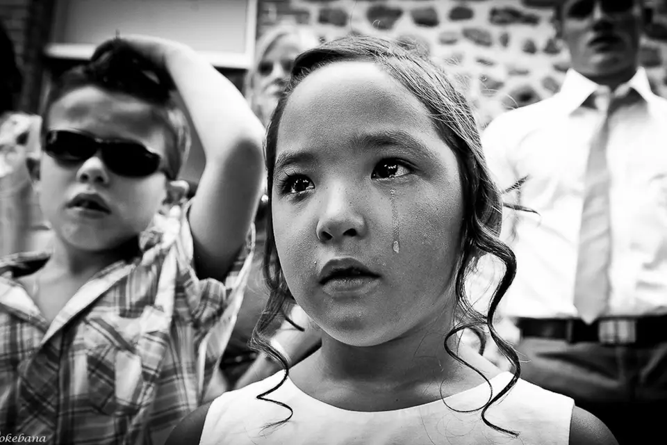 Sokebana — photo 5