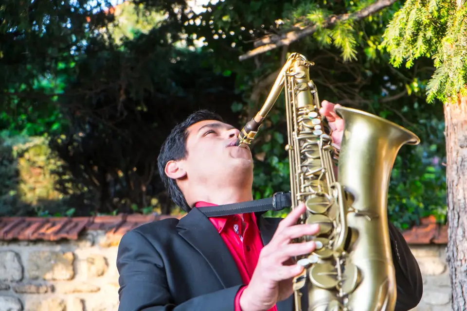 Anarosalda Piano Sax — photo 4