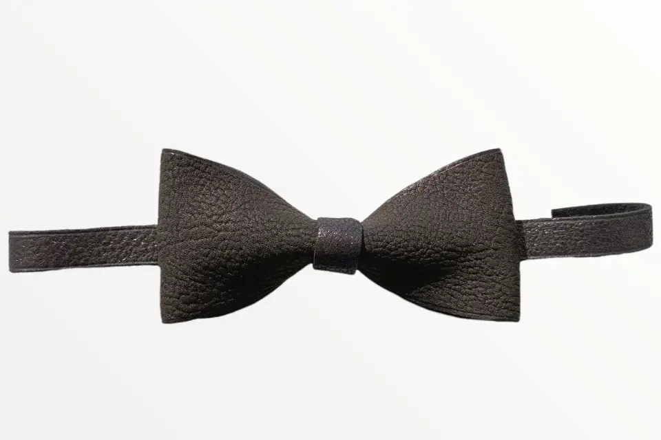 Alchemilla Leather — photo 6