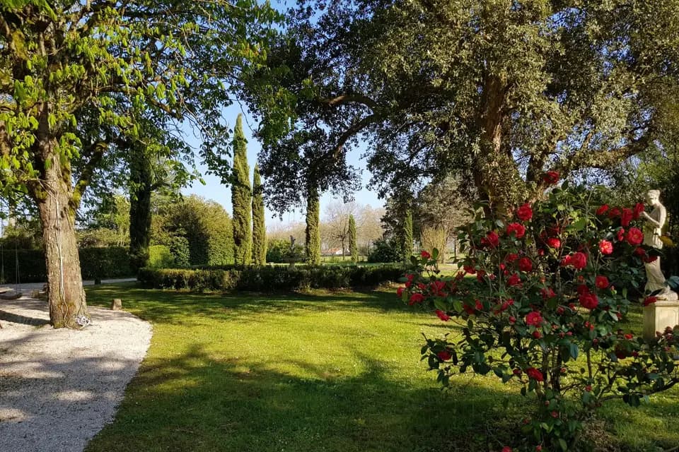 Le Manoir du Thouron — photo 8