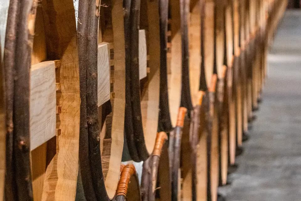 Blurring Studio — photo 3