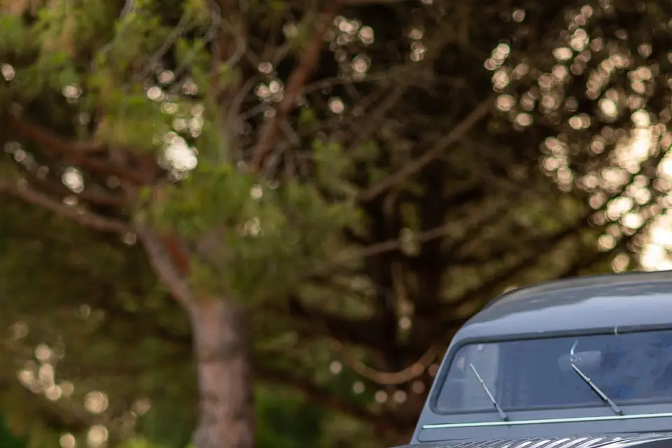 Blurring Studio — photo 6