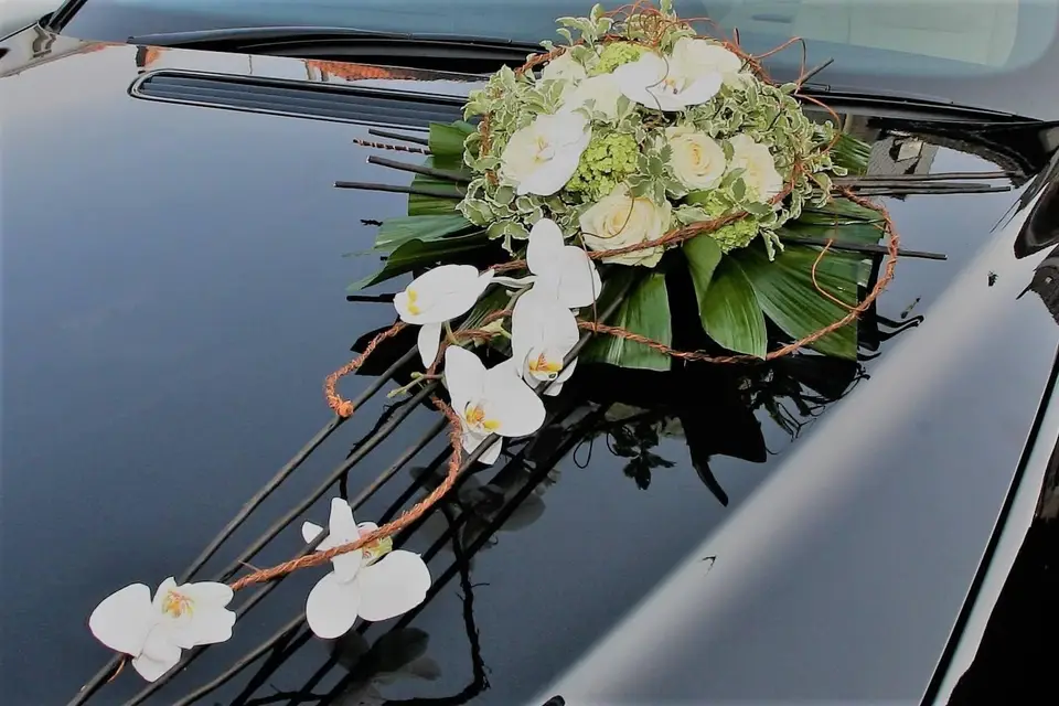 Nathalie Naro — photo 3