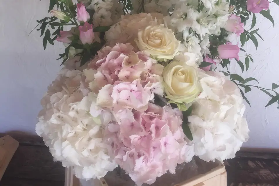 Domaine de la Bégude — photo 6