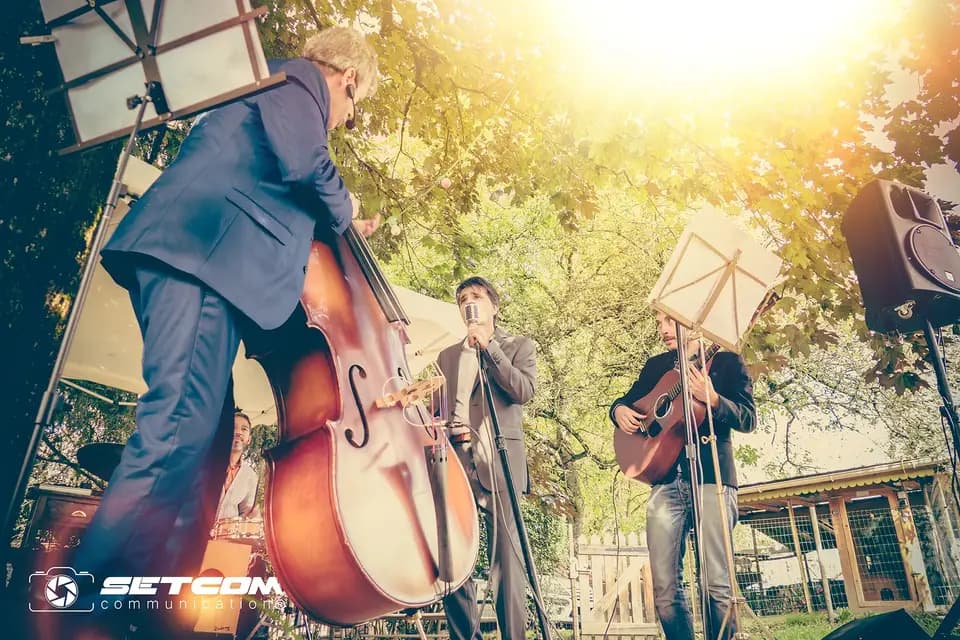 Nobody's Perfect Jazz Band — photo 1