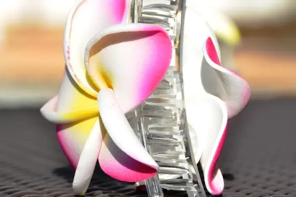 Fleur de frangipanier — photo 3