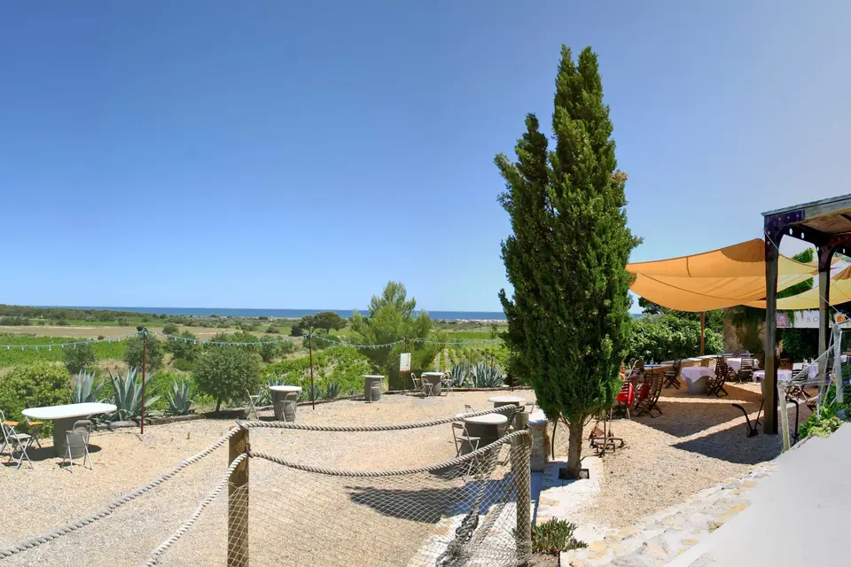 Château Le Bouis — photo 6