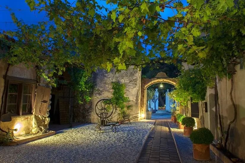 Château Le Bouis — photo 1