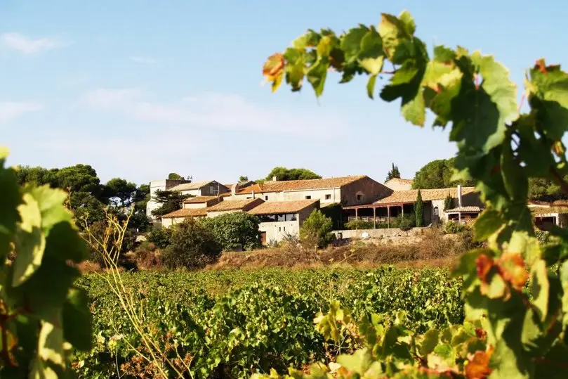 Château Le Bouis — photo 3