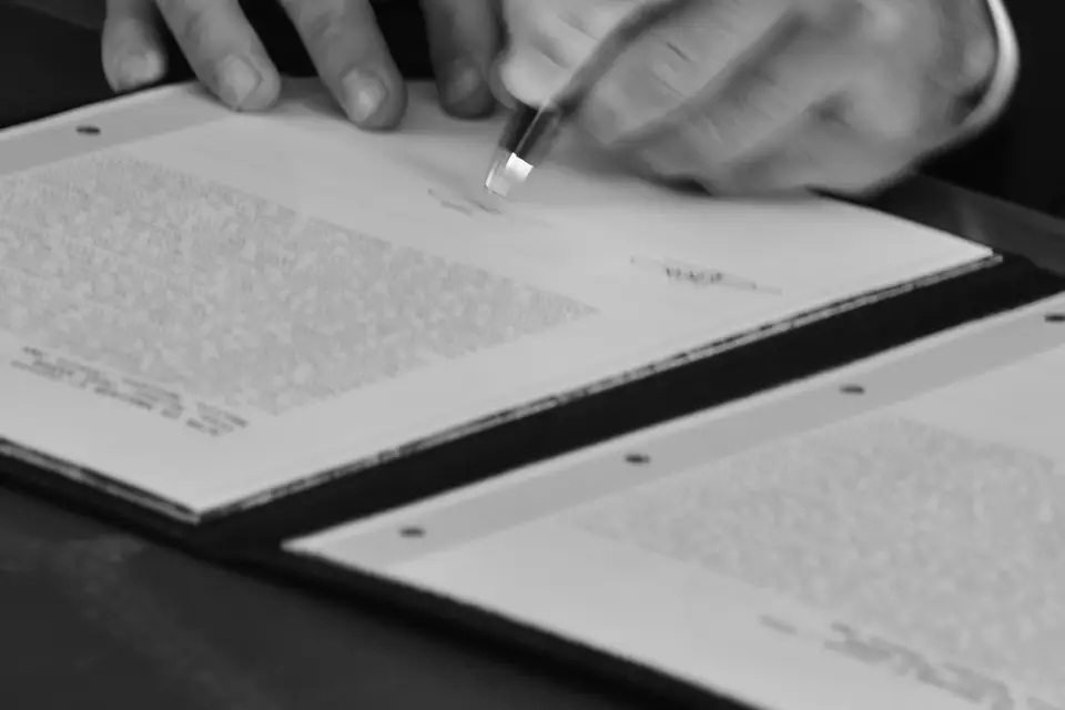 Yannig Photo — photo 7