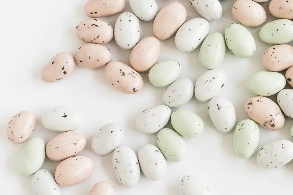 Dragées Lamandine — photo 7