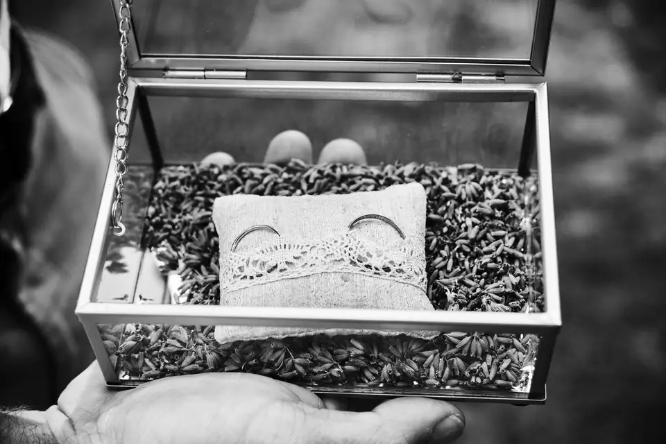 De Rêve et d'Amour — photo 4