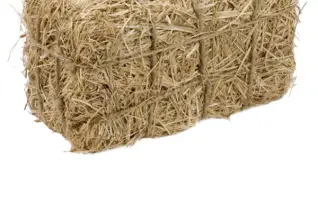 Lilie Rose Déco — photo 1