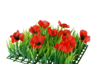 Lilie Rose Déco — photo 5