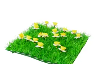 Lilie Rose Déco — photo 4