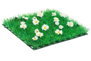 Lilie Rose Déco — photo 3