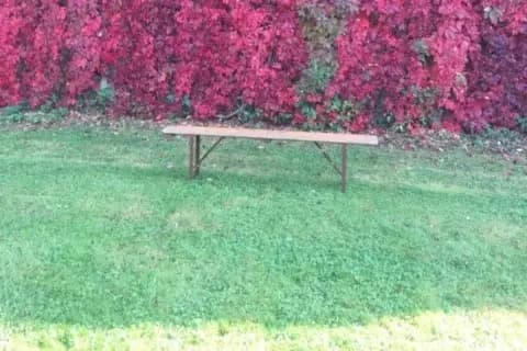 Domaine de Fillières — photo 9